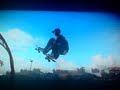 Skate absi