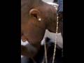 How I Rock - Montana Da Mac