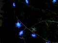 Solar powered Christmas decorations