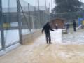 mura 2 mura 2