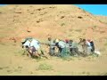 Dragging A Tarbosaurus Dragging A Tarbosaurus