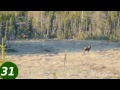 Newfoundland outdoors 2