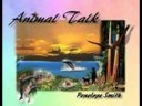 Animals!
