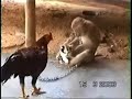 �����  ��� ���� ��� ������