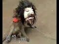 Pamulangians: Topeng Monyet
