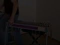 Pedal steel guitar