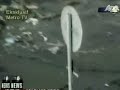 tsunami