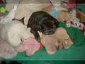 Sleepy Sleepy Sleepy..