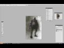 kait speedpaint