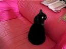 Tori Sits