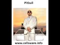 Feels Good de Pitbull