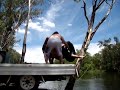 Matthew Whitbread on a tyre swing