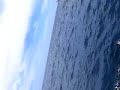 marlin video