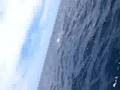 Marlin Video