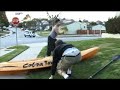 hilarious bee funny submission...