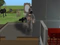 the-sims-2-random-stuff.html