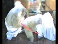 Kinky Koalas Kinky Koalas