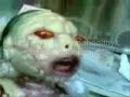7. Otros - Fenomenos Paranormales