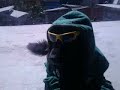 perro reguetonero