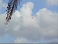 Airplane, Model, jet, Jato, Aeromodelo, Weston FL USA Airplane, Model, jet, Jato, Aeromodelo, Weston FL USA
