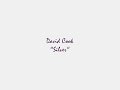 DAVID COOK Analog Heart MAKEOVER, SILVER HQ audio
