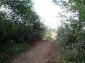 videos de ktmjul3