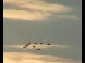 aviators midnight sun airshow 2006