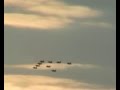 Aviators Midnight Sun Airshow 2006