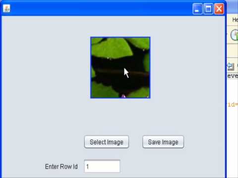 how to resize image to fit in jlabel