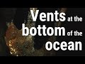 WHOI: Hydrothermal Vents