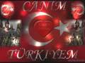 Her�ey Vatan ��in