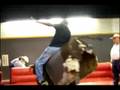 The Bull Ride