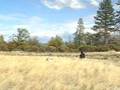 videos de Tablerock & Mt Shasta 2004