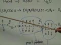 Organic Chemistry Reactions