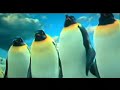 party like a rockstar happy feet