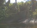 Pepito navegando en el Amazonas