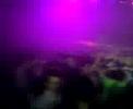 Nuit Angevine 2007 (1)