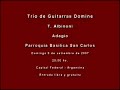 Albinoni Adagio -  Trio de Guitarras Domine