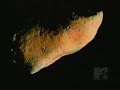 ltj bukem   horizons