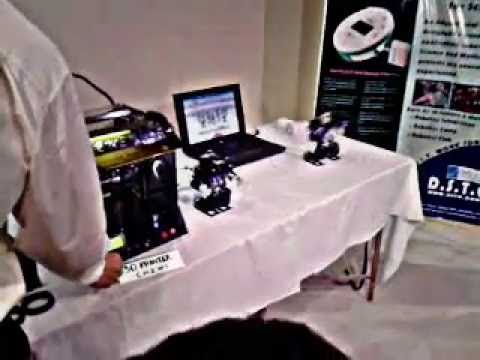 grand national results