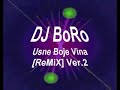 DJ BoRo - Usne Boje Vina [ReMiX] Ver.2  [ Boban Rajovic]