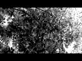 November Process #Define Friend Video