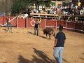 Templus. Yeyo Salta Vaquilla Templus. Yeyo Salta Vaquilla