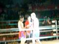 videos de peleas