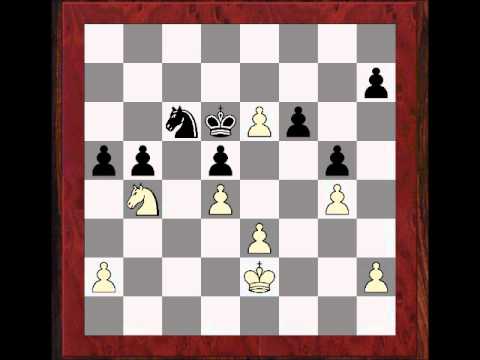 chess knight chess knight