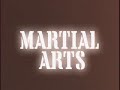 Def Jam Fight For NY the 5 fighting styles