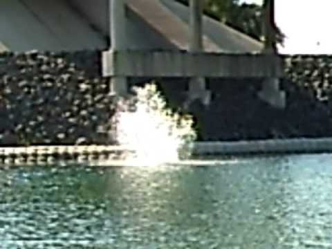 jordan dubose gainers the double bridge
