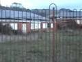 Royal Derwent & Willow Court Walkthrough