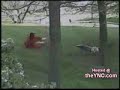 Patos Danados