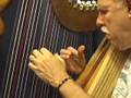 Harp Channel-Spanish Fandango (dedicated to Mac McCauley video